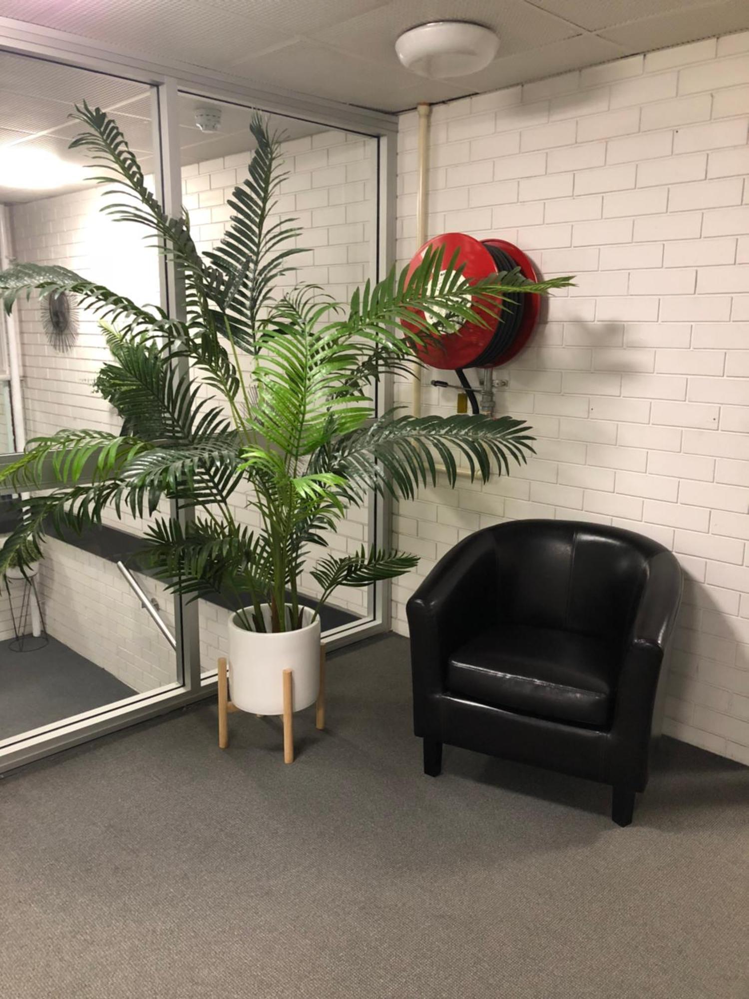 Adelaide Airport Motel المظهر الخارجي الصورة
